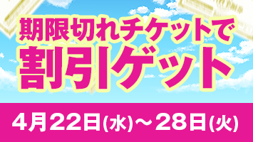 �����؂�`�P�b�g�Ŋ����Q�b�g